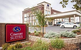 Comfort Suites Woodland - Sacramento Airport